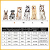 Dog Bathrobe Towel Bath Robe